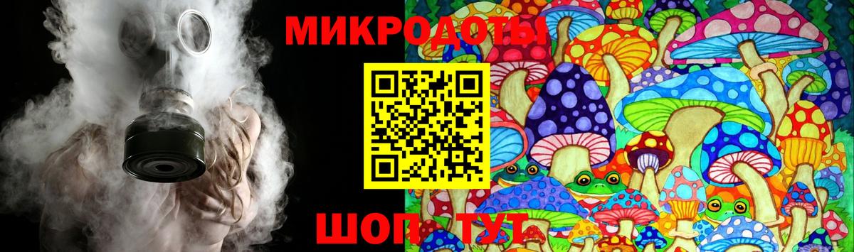 Псилоцибиновые грибы Psilocybe  Вход с VPN  Рославль 